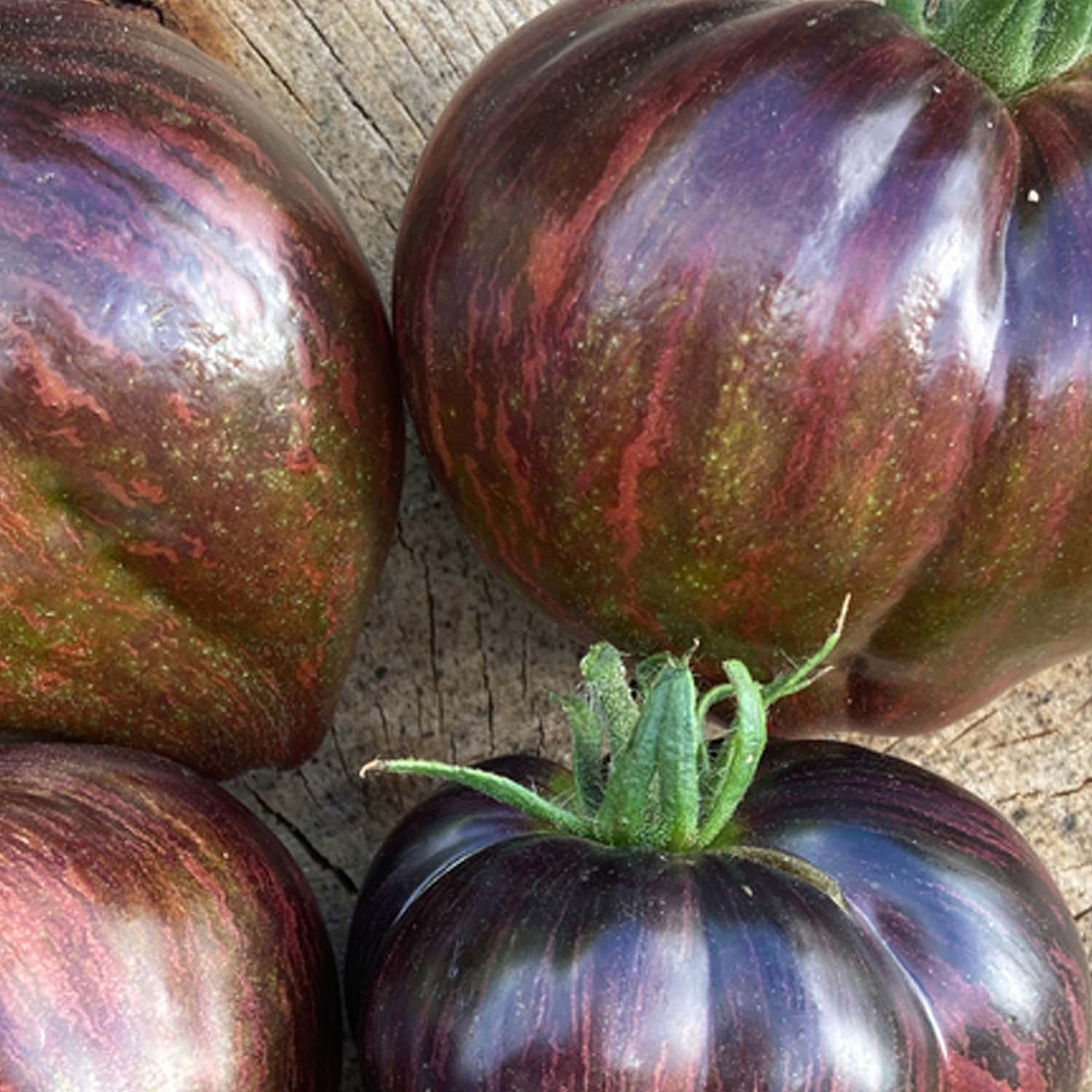 Purple Zebra Tomato