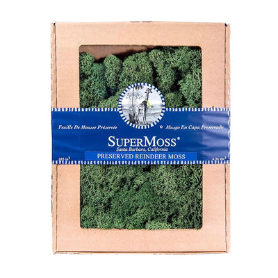 Reindeer Moss - Forest Color - 120 cu. in.