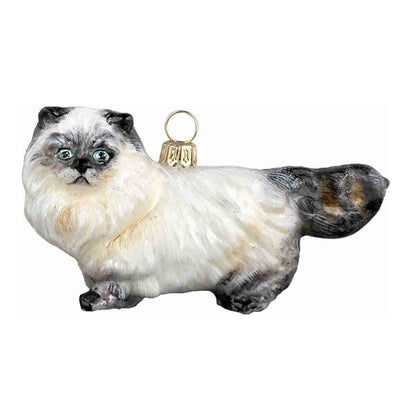 Himalayan Cat