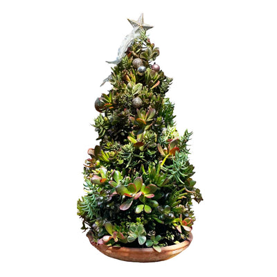 Succulent Tree - 24" Tall