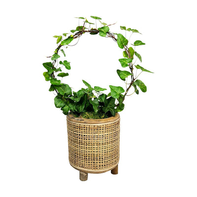 Ivy Ring in Blonde Rattan Basket - Small