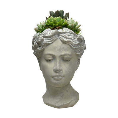 Succulents in Goddess Planter