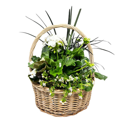 Large White Autumn Willow Basket