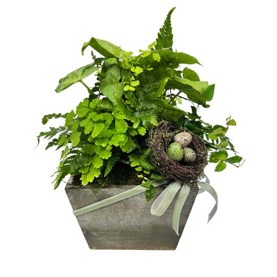 Small Fern Easter Box