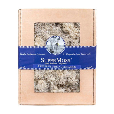 Reindeer Moss - Natural Color - 120 cu. in.