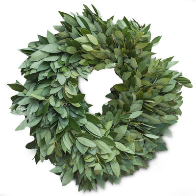 Fresh Bay Leaf Wreath 24"