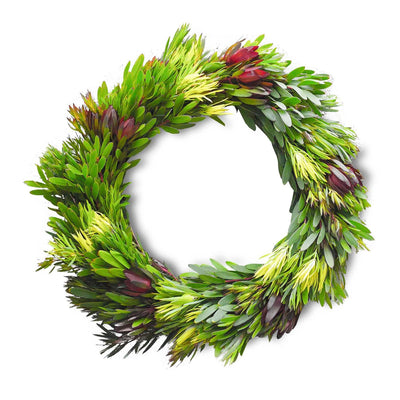 Leucadendron Wreath 20"